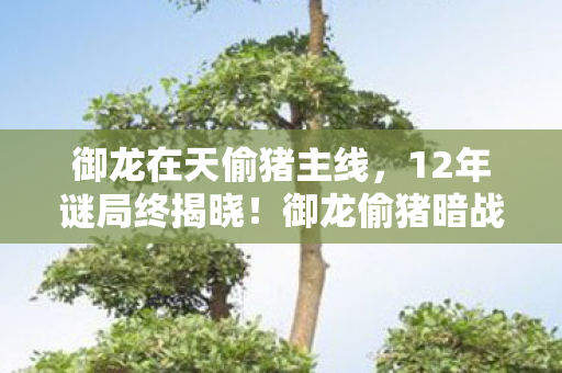 御龙在天偷猪主线,12年谜局终揭晓!御龙偷猪暗战背后,竟藏着千万玩家的泪目青春 御龙在天偷猪主线,12年谜局终揭晓!御龙偷猪暗战背后,竟藏着千万玩家的泪目青春