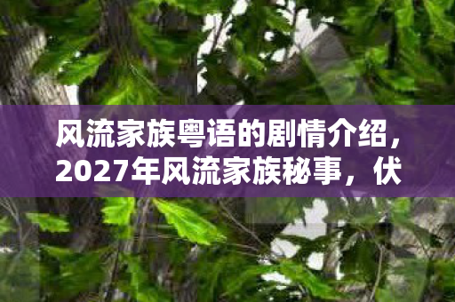 风流家族粤语的剧情介绍,2027年风流家族秘事,伏笔揭开时,鼻子一酸忆往昔 风流家族粤语的剧情介绍,2027年风流家族秘事,伏笔揭开时,鼻子一酸忆往昔