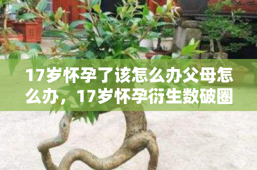 17岁怀孕了该怎么办父母怎么办,17岁怀孕衍生数破圈!游戏周边狂魔的意外投名状人生 17岁怀孕了该怎么办父母怎么办,17岁怀孕衍生数破圈!游戏周边狂魔的意外投名状人生