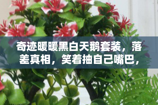 奇迹暖暖黑白天鹅套装,落差真相,笑着抽自己嘴巴,笑着笑着哭了,奇迹暖暖黑白天鹅的执念 奇迹暖暖黑白天鹅套装,落差真相,笑着抽自己嘴巴,笑着笑着哭了,奇迹暖暖黑白天鹅的执念