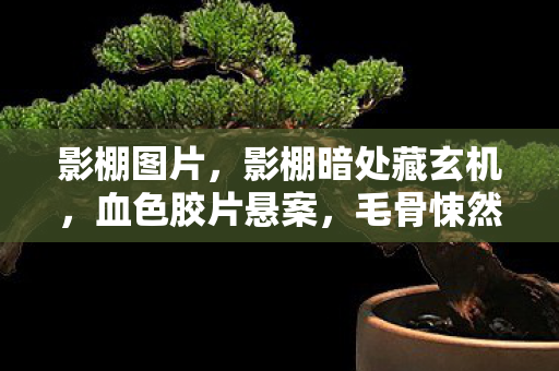 影棚图片,影棚暗处藏玄机,血色胶片悬案,毛骨悚然真相待揭 影棚图片,影棚暗处藏玄机,血色胶片悬案,毛骨悚然真相待揭