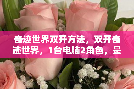 奇迹世界双开方法,双开奇迹世界,1台电脑2角色,是肝帝狂欢还是孤独深渊? 奇迹世界双开方法,双开奇迹世界,1台电脑2角色,是肝帝狂欢还是孤独深渊?
