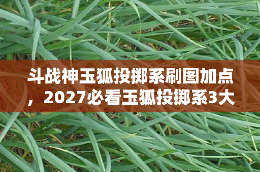 斗战神玉狐投掷系刷图加点,2027必看玉狐投掷系3大隐藏机制曝光!90%玩家错失的输出革命 斗战神玉狐投掷系刷图加点,2027必看玉狐投掷系3大隐藏机制曝光!90%玩家错失的输出革命