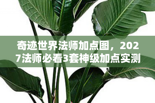 奇迹世界法师加点图,2027法师必看3套神级加点实测!90%玩家踩坑的致命误区曝光 奇迹世界法师加点图,2027法师必看3套神级加点实测!90%玩家踩坑的致命误区曝光