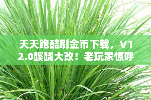 天天跑酷刷金币下载,V12.0蹊跷大改!老玩家惊呼,这还是我认识的天天跑酷吗? 天天跑酷刷金币下载,V12.0蹊跷大改!老玩家惊呼,这还是我认识的天天跑酷吗?