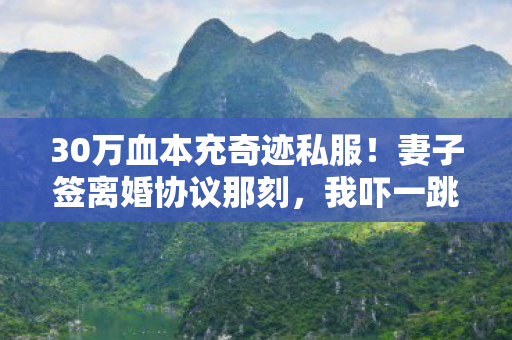 30万血本充奇迹私服!妻子签离婚协议那刻,我吓一跳的账本真相 30万血本充奇迹私服!妻子签离婚协议那刻,我吓一跳的账本真相