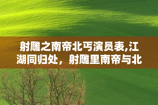 射雕之南帝北丐演员表,江湖同归处,射雕里南帝与北丐的侠骨禅心 射雕之南帝北丐演员表,江湖同归处,射雕里南帝与北丐的侠骨禅心