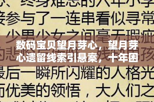 数码宝贝望月芽心,望月芽心遗留线索引悬案,十年困局背后毛骨悚然真相 数码宝贝望月芽心,望月芽心遗留线索引悬案,十年困局背后毛骨悚然真相