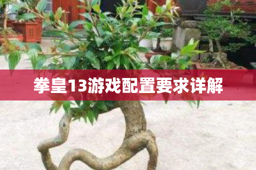 拳皇13游戏配置要求详解图片