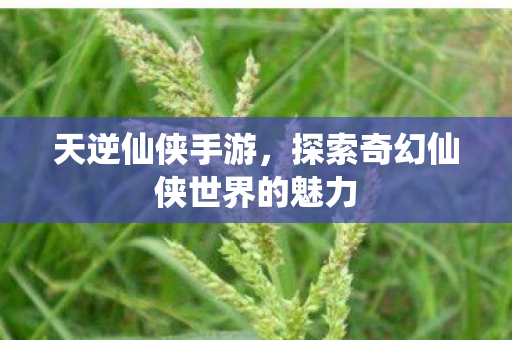 探索奇幻仙侠世界的魅力图片