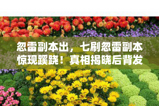 忽雷副本出,七刷忽雷副本惊现蹊跷!真相揭晓后背发凉 忽雷副本出,七刷忽雷副本惊现蹊跷!真相揭晓后背发凉