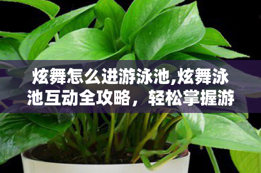 炫舞怎么进游泳池,炫舞泳池互动全攻略,轻松掌握游泳趣味玩法 炫舞怎么进游泳池,炫舞泳池互动全攻略,轻松掌握游泳趣味玩法