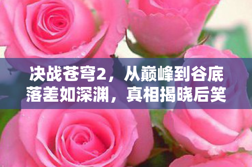 决战苍穹2，从巅峰到谷底落差如深渊，真相揭晓后笑着笑着就哭了