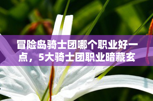 冒险岛骑士团哪个职业好一点,5大骑士团职业暗藏玄机?老玩家亲历揭秘终极真相! 冒险岛骑士团哪个职业好一点,5大骑士团职业暗藏玄机?老玩家亲历揭秘终极真相!