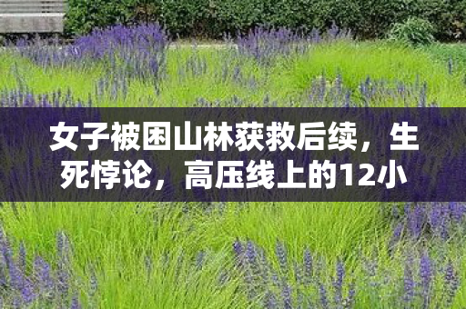 女子被困山林获救后续,生死悖论,高压线上的12小时,是绝境还是新生?灵魂震颤! 女子被困山林获救后续,生死悖论,高压线上的12小时,是绝境还是新生?灵魂震颤!