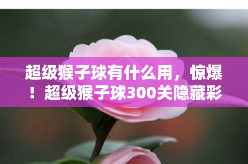 超级猴子球有什么用，惊爆！超级猴子球300关隐藏彩蛋，99%玩家竟被这关逼疯？