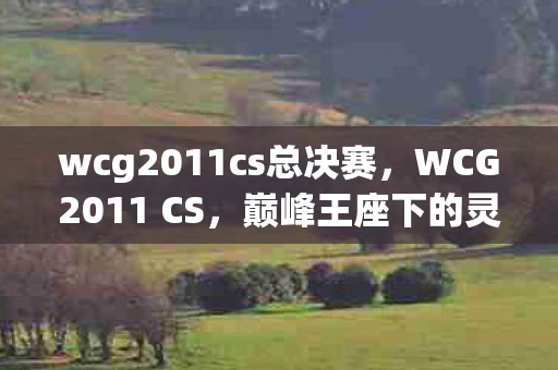 wcg2011cs总决赛,WCG2011 CS,巅峰王座下的灵魂废墟,满级人生竟是负分轮回 wcg2011cs总决赛,WCG2011 CS,巅峰王座下的灵魂废墟,满级人生竟是负分轮回
