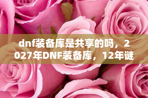 dnf装备库是共享的吗，2027年DNF装备库，12年谜局终揭晓，百万玩家泪目真相