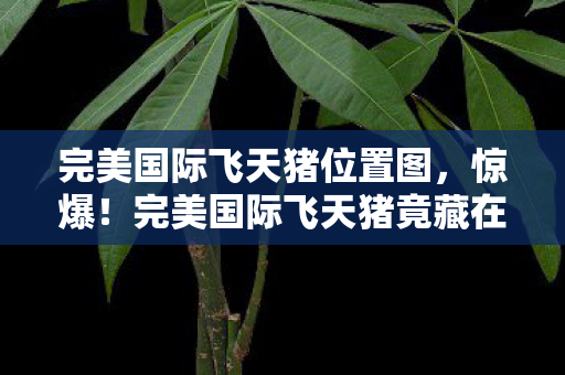 完美国际飞天猪位置图，惊爆！完美国际飞天猪竟藏在这3处神秘地，你找到了吗？