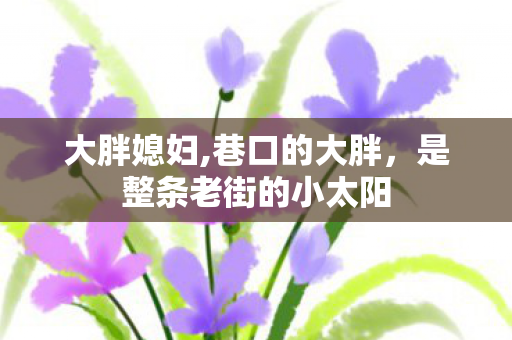 大胖媳妇,巷口的大胖，是整条老街的小太阳