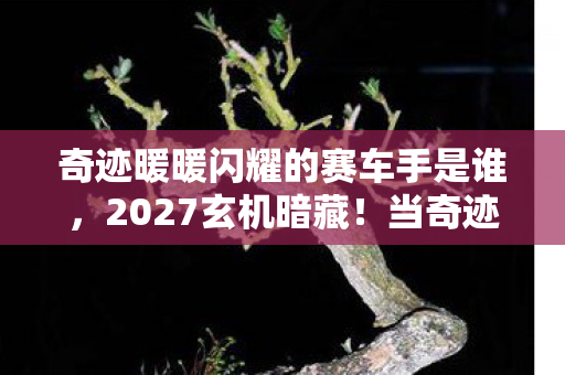 奇迹暖暖闪耀的赛车手是谁，2027玄机暗藏！当奇迹暖暖赛车手沉默时，命运齿轮开始转动