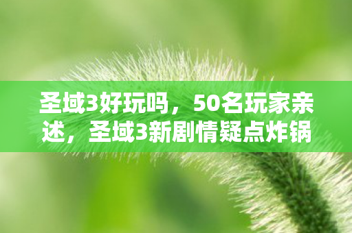 圣域3好玩吗,50名玩家亲述,圣域3新剧情疑点炸锅,策划这波操作我绷不住了! 圣域3好玩吗,50名玩家亲述,圣域3新剧情疑点炸锅,策划这波操作我绷不住了!