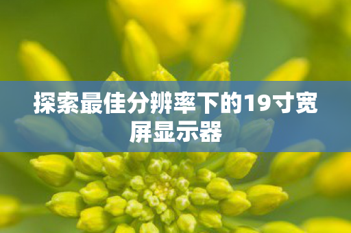 探索最佳分辨率下的19寸宽屏显示器图片