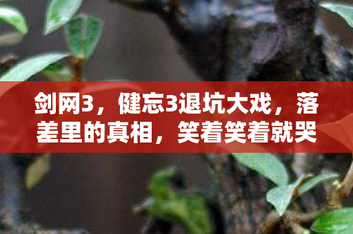 剑网3,健忘3退坑大戏,落差里的真相,笑着笑着就哭了 剑网3,健忘3退坑大戏,落差里的真相,笑着笑着就哭了