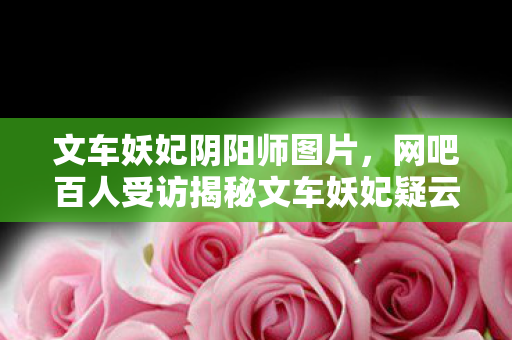 文车妖妃阴阳师图片,网吧百人受访揭秘文车妖妃疑云,我绷不住泪洒当场 文车妖妃阴阳师图片,网吧百人受访揭秘文车妖妃疑云,我绷不住泪洒当场