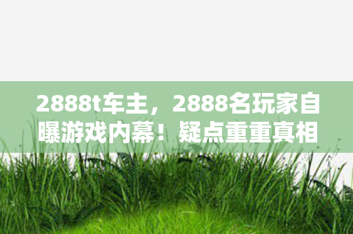 2888t车主，2888名玩家自曝游戏内幕！疑点重重真相难辨，策划都绷不住了