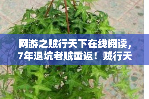 网游之贼行天下在线阅读,7年退坑老贼重返!贼行天下2027竟藏着颠覆认知的惊天秘密? 网游之贼行天下在线阅读,7年退坑老贼重返!贼行天下2027竟藏着颠覆认知的惊天秘密?