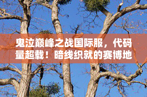 鬼泣巅峰之战国际服,代码量超载!暗线织就的赛博地狱,头皮发麻的玩家叛乱已启动 鬼泣巅峰之战国际服,代码量超载!暗线织就的赛博地狱,头皮发麻的玩家叛乱已启动