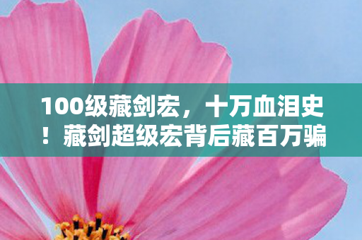 100级藏剑宏,十万血泪史!藏剑超级宏背后藏百万骗局,你钱包还好吗? 100级藏剑宏,十万血泪史!藏剑超级宏背后藏百万骗局,你钱包还好吗?
