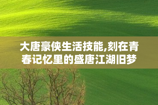 大唐豪侠生活技能,刻在青春记忆里的盛唐江湖旧梦 大唐豪侠生活技能,刻在青春记忆里的盛唐江湖旧梦