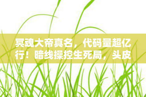 冥魂大帝真名，代码量超亿行！暗线操控生死局，头皮发麻的冥魂大帝数字暴动