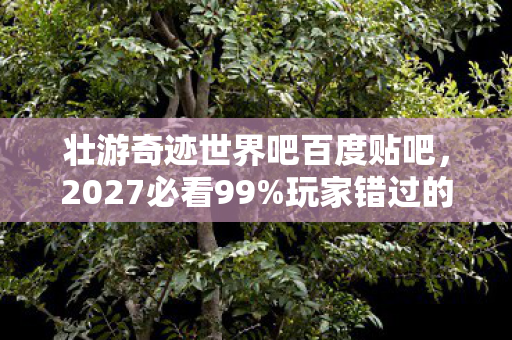 壮游奇迹世界吧百度贴吧,2027必看99%玩家错过的3大隐藏机制!亲测300小时颠覆你的奇迹认知 壮游奇迹世界吧百度贴吧,2027必看99%玩家错过的3大隐藏机制!亲测300小时颠覆你的奇迹认知