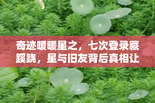 奇迹暖暖星之,七次登录藏蹊跷,星与旧友背后真相让我后背发凉 奇迹暖暖星之,七次登录藏蹊跷,星与旧友背后真相让我后背发凉