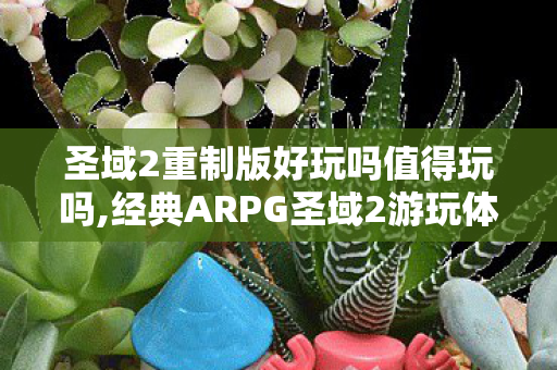 圣域2重制版好玩吗值得玩吗,经典ARPG圣域2游玩体验分享,这款老游戏到底值不值得入坑 圣域2重制版好玩吗值得玩吗,经典ARPG圣域2游玩体验分享,这款老游戏到底值不值得入坑