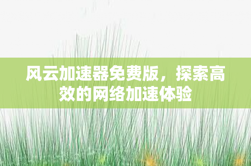探索高效的网络加速体验图片