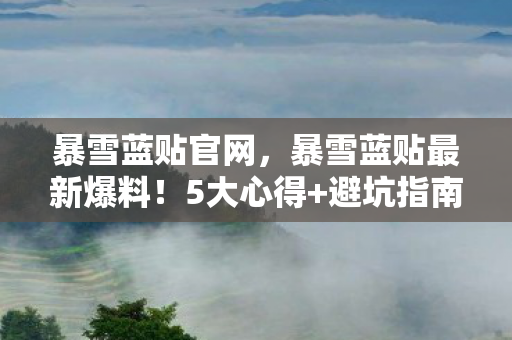 暴雪蓝贴官网，暴雪蓝贴最新爆料！5大心得+避坑指南，助你玩转新版本