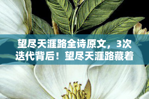 望尽天涯路全诗原文,3次迭代背后!望尽天涯路藏着让百万玩家泪崩的终极真相 望尽天涯路全诗原文,3次迭代背后!望尽天涯路藏着让百万玩家泪崩的终极真相