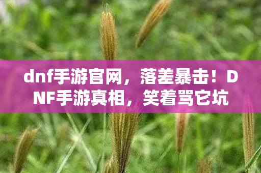 dnf手游官网，落差暴击！DNF手游真相，笑着骂它坑，笑着笑着就哭了