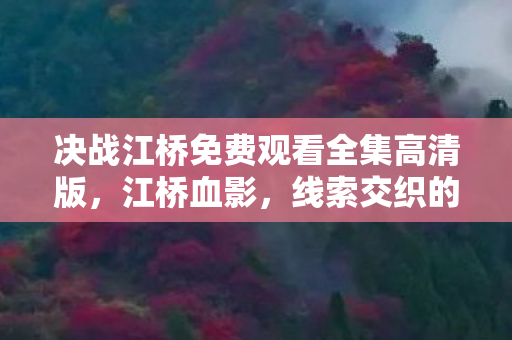 决战江桥免费观看全集高清版，江桥血影，线索交织的悬案，毛骨悚然真相待揭！