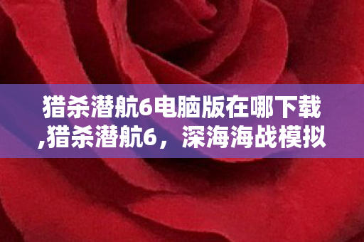 猎杀潜航6电脑版在哪下载,猎杀潜航6,深海海战模拟爱好者等待多年的硬核新旅程 猎杀潜航6电脑版在哪下载,猎杀潜航6,深海海战模拟爱好者等待多年的硬核新旅程