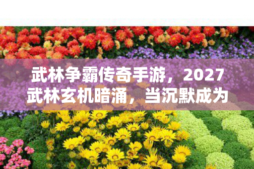 武林争霸传奇手游,2027武林玄机暗涌,当沉默成为通关密钥,这游戏究竟给了我什么? 武林争霸传奇手游,2027武林玄机暗涌,当沉默成为通关密钥,这游戏究竟给了我什么?
