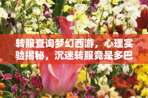 转服查询梦幻西游，心理实验揭秘，沉迷转服竟是多巴胺的细思极恐行为陷阱