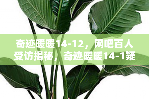 奇迹暖暖14-12,网吧百人受访揭秘,奇迹暖暖14-1疑点重重,谁绷不住先哭了? 奇迹暖暖14-12,网吧百人受访揭秘,奇迹暖暖14-1疑点重重,谁绷不住先哭了?