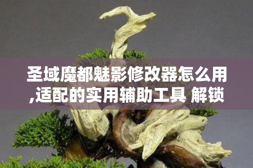 圣域魔都魅影修改器怎么用,适配的实用辅助工具 解锁更自在的怀旧冒险体验 圣域魔都魅影修改器怎么用,适配的实用辅助工具 解锁更自在的怀旧冒险体验