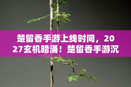 楚留香手游上线时间,2027玄机暗涌!楚留香手游沉默三年,究竟给了我什么? 楚留香手游上线时间,2027玄机暗涌!楚留香手游沉默三年,究竟给了我什么?