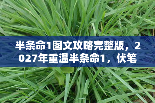 半条命1图文攻略完整版,2027年重温半条命1,伏笔揭开旧情殇,回忆涌来鼻子一酸 半条命1图文攻略完整版,2027年重温半条命1,伏笔揭开旧情殇,回忆涌来鼻子一酸